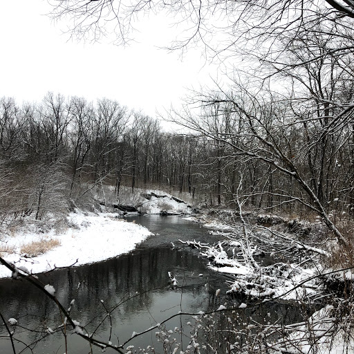 Nature Preserve «Starkey Park», reviews and photos, 667 Sugarbush Dr, Zionsville, IN 46077, USA