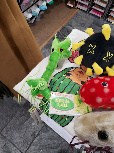 Gift Shop «Kawaii Gifts», reviews and photos, 5413 Walnut St, Pittsburgh, PA 15232, USA