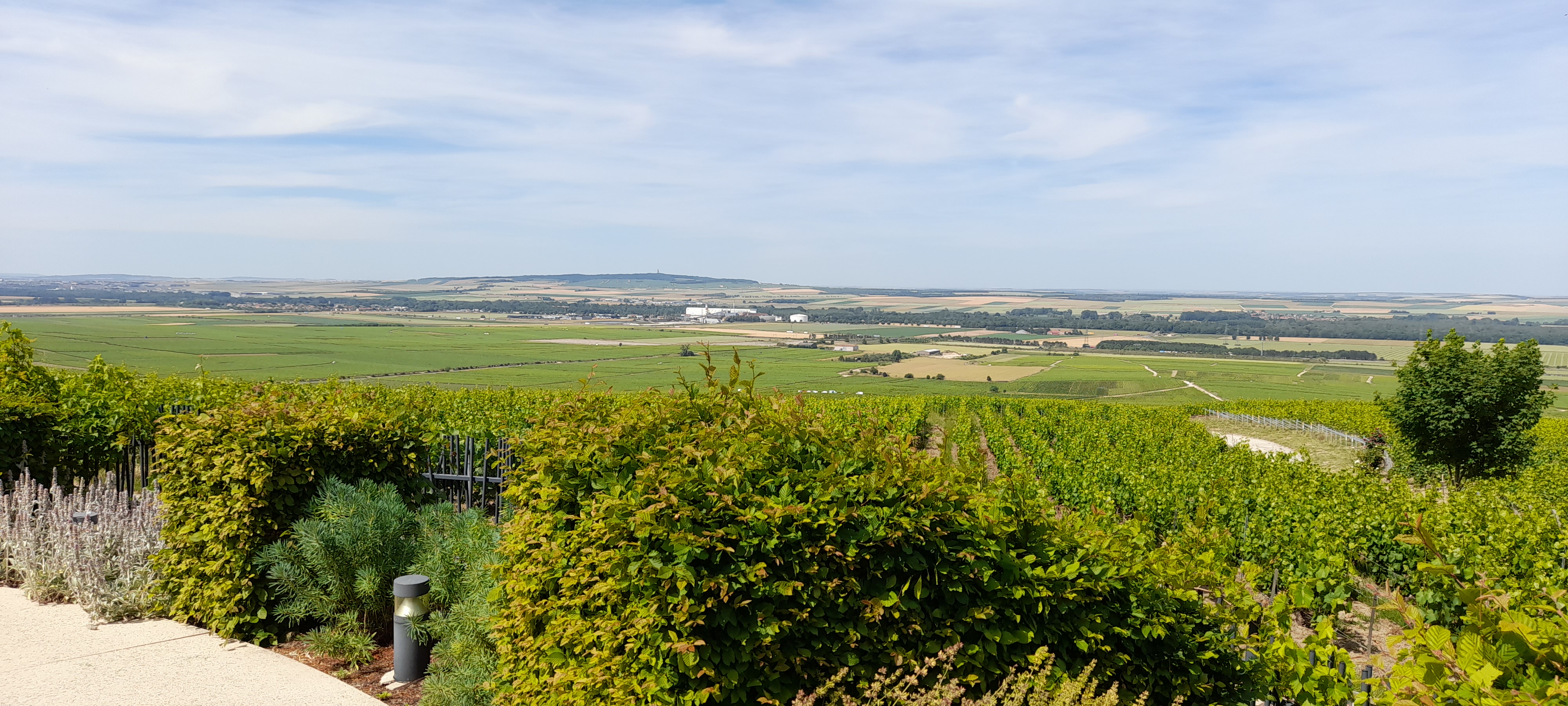 Photo n° 5 de l'avis de D. fait le 17/06/2022 à 17:29