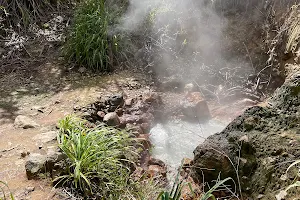Sulfur Springs image