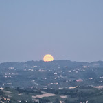 Photo n°3 de l'avis de AK.l fait le 01/07/2021 à 06:40 sur le  Alfieri à Magliano Alfieri