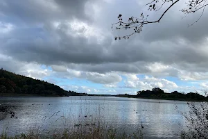 Lough Muckno image