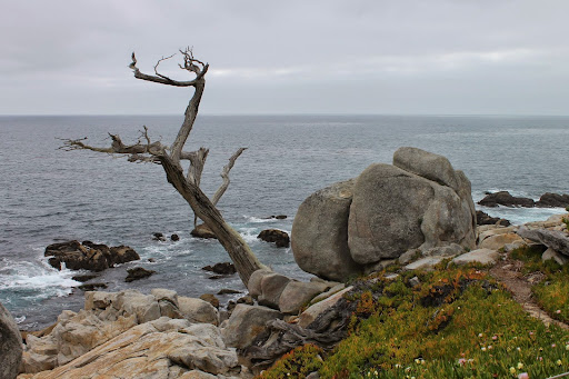 Golf Course «Monterey Peninsula Dunes Golf Course», reviews and photos, 3000 Club Rd, Pebble Beach, CA 93953, USA