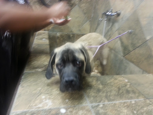 Pet Supply Store «Pet Valu», reviews and photos, 1308 Main Chapel Way, Gambrills, MD 21054, USA