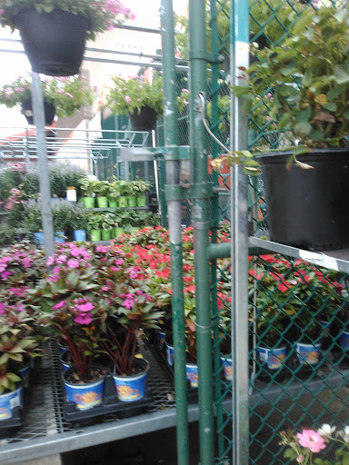 Home Improvement Store «The Home Depot», reviews and photos, 3849 S Delsea Dr, Vineland, NJ 08360, USA