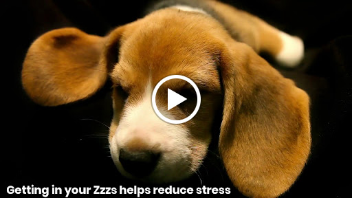 Furniture Store «In Style Furniture», reviews and photos, 101 E Foothill Blvd #30, Pomona, CA 91767, USA