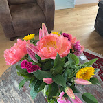 Photo n° 1 de l'avis de Anne-Sophie.u fait le 05/06/2023 à 13:57 pour Pensée Bohème à Orry-la-ville