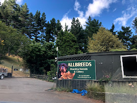Allbreeds Kennels & Cattery