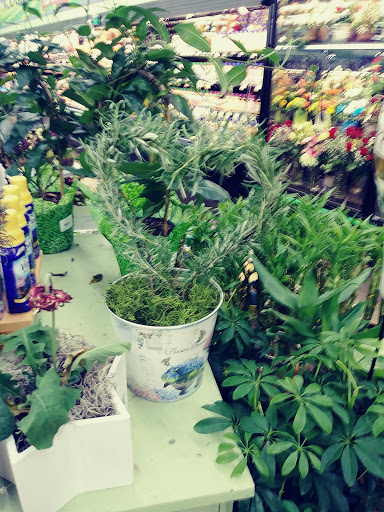 Supermarket «Save Mart Supermarkets», reviews and photos, 3601 Pelandale Ave, Modesto, CA 95356, USA