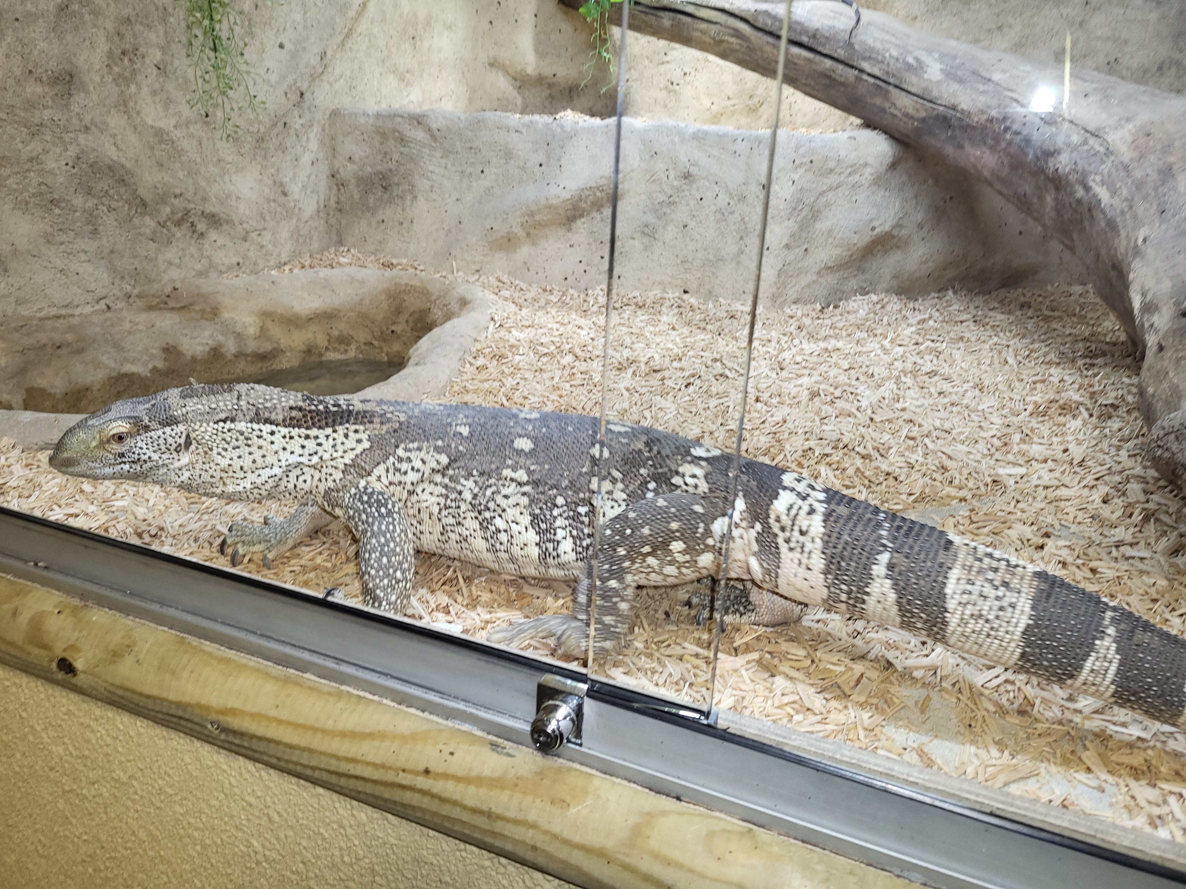 Photo n° 3 de l'avis de Cor.a fait le 11/06/2023 à 11:44