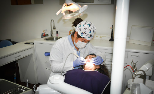 Tratamientos dentales - ZaMa Bioingenieria Oral -Arequipa