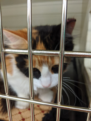 Pet Supply Store «Pet Supplies Plus», reviews and photos, 42241 Garfield Rd, Charter Twp of Clinton, MI 48038, USA