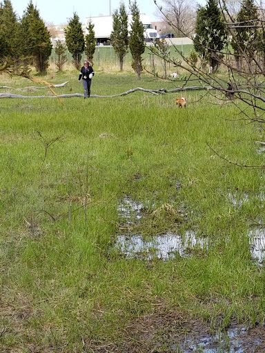 Dog Park «Beck Lake Off-Leash Dog Area», reviews and photos, 9700 Gloria Ct, Glenview, IL 60025, USA