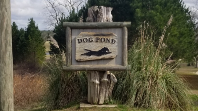 Dog Pond Kennels LLC