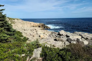 Duncan's Cove Nature Reserve image