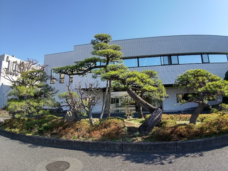 日本ビーシージー製造 日本BCG研究所