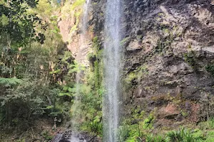 Twin Falls image