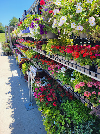 Department Store «Walmart Supercenter», reviews and photos, 2251 IN-54, Linton, IN 47441, USA