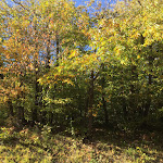 Photo n°2 de l'avis de Vincenzo.o fait le 16/10/2017 à 13:33 sur le  Albergo Ristorante Verdi à Bore