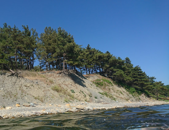 Elektron beach