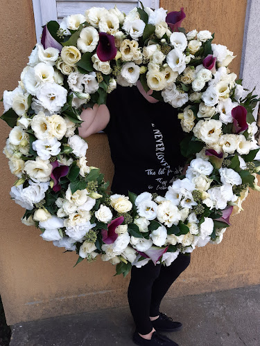 Lilla Virág - Tahitótfalu