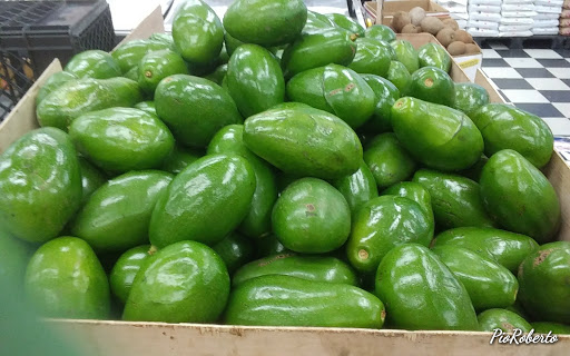 Supermarket «El Grande Supermarket Corp.», reviews and photos, 8413 Hanley Rd, Tampa, FL 33634, USA