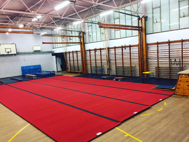 Reviews of Anima Gymnastics Club in London - Sports Complex