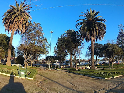 Plaza Patricio Lynch