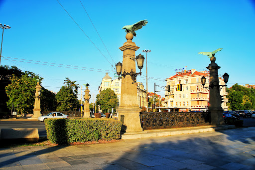 Christmas lots in Sofia