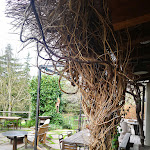 Photo n°3 de l'avis de gianpiero.e fait le 07/04/2024 à 05:09 sur le  Casa Fluo' Relais à Bologna