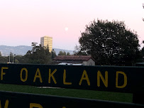 The Open Matt - Photo 8 - Car repair in Oakland, CA, Oakland