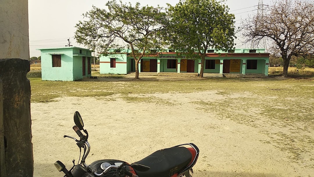 Dewasa School