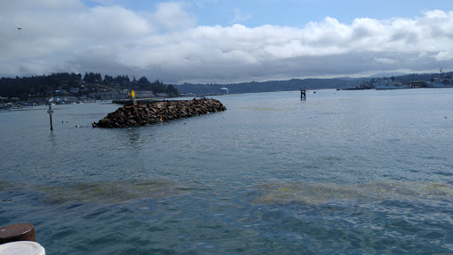 Coffee Shop «Surf Town Coffee and Tea Company», reviews and photos, 345 SW Bay Blvd, Newport, OR 97365, USA