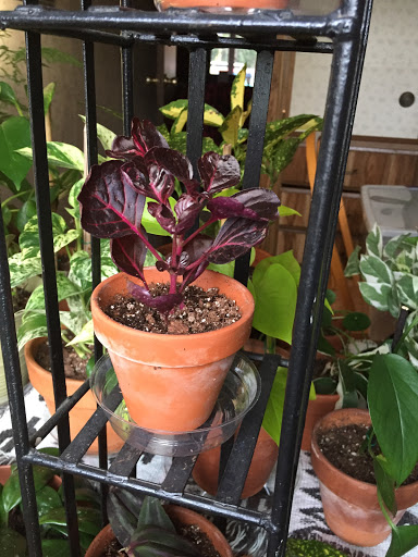 Hardware Store «McLendon Hardware», reviews and photos, 11307 Canyon Rd E, Puyallup, WA 98373, USA