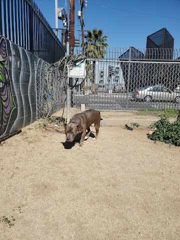 Art District Dog Park by null