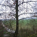 Photo n° 3 de l'avis de Daniel-Henri.E fait le 10/09/2020 à 09:52 pour Creps de Reims à Reims