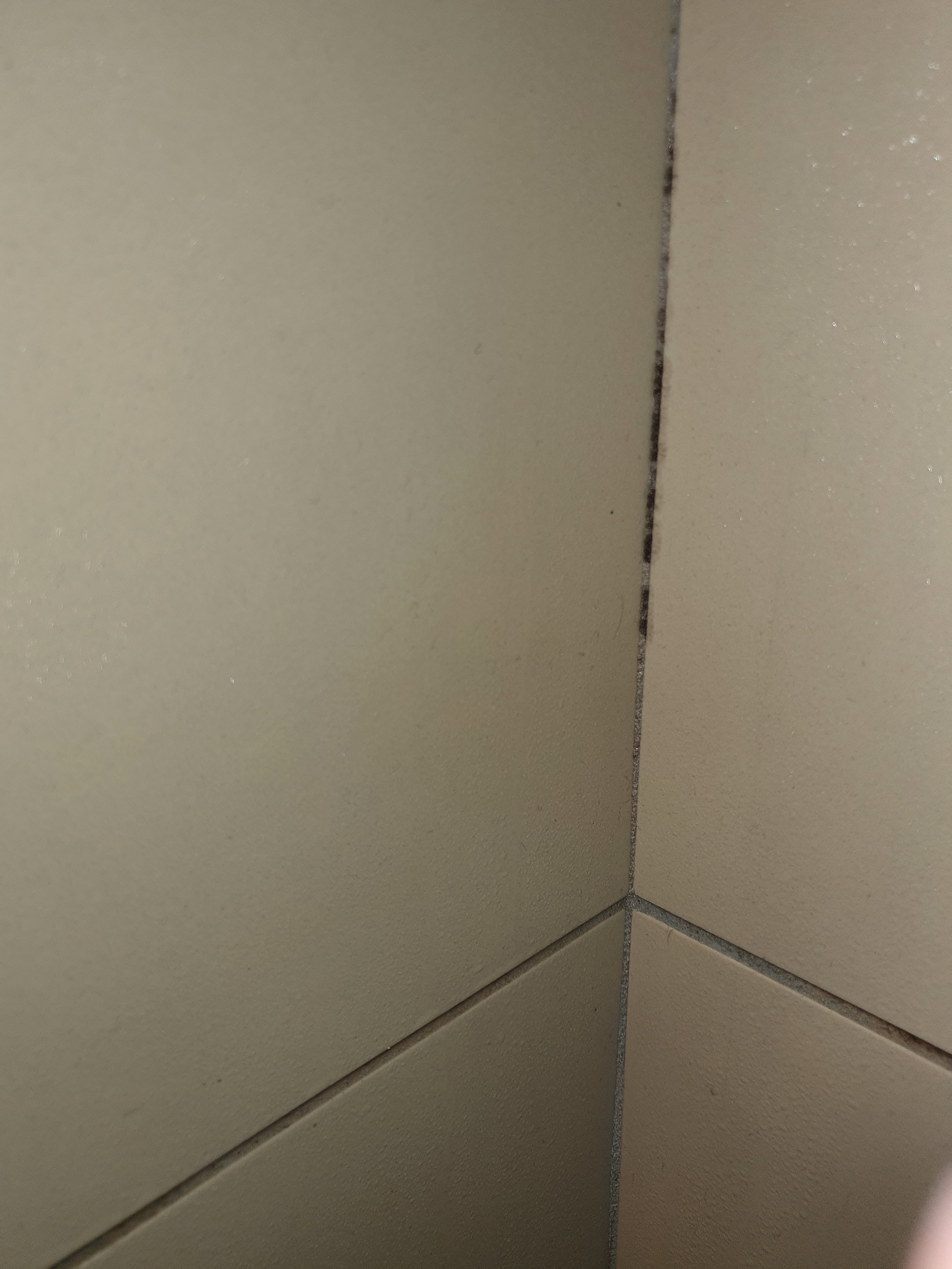 Photo n° 5 de l'avis de Thierry.a fait le 06/03/2021 à 16:42