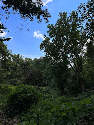 Park «Cromwell Valley Park», reviews and photos, 2002 Cromwell Bridge Rd, Parkville, MD 21234, USA