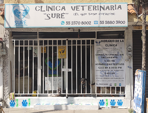 Clínica Veterinaria Sure