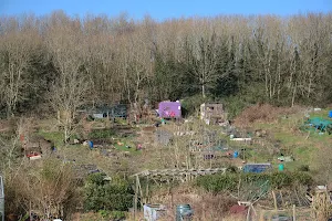 Roedale Valley Allotments image