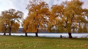 Stewart Park - photo 69