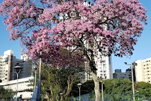 the Cauê Square image