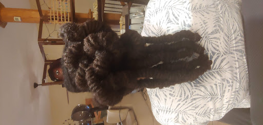 Hair Salon «Twisted Rootz Natural Hair Care Salon», reviews and photos, 2903 Oakland Ave, Greensboro, NC 27403, USA