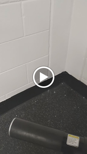 Youth Organization «South Tampa Family YMCA», reviews and photos, 4411 S Himes Ave, Tampa, FL 33611, USA