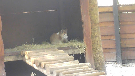 Zoo «Palm Beach Zoo & Conservation Society», reviews and photos, 1301 Summit Blvd, West Palm Beach, FL 33405, USA