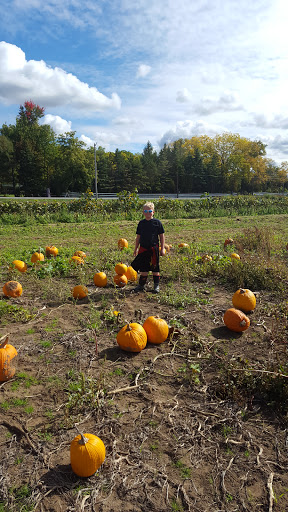 Produce Market «Rush Vegetables», reviews and photos, 2120 Eagle Harbor Waterport Rd, Albion, NY 14411, USA