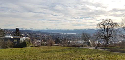 Grün Stadt Zürich, Waldrevier Uetliberg