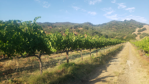 Winery «Jaxon Keys Winery & Distillery», reviews and photos, 10400 US-101, Hopland, CA 95449, USA