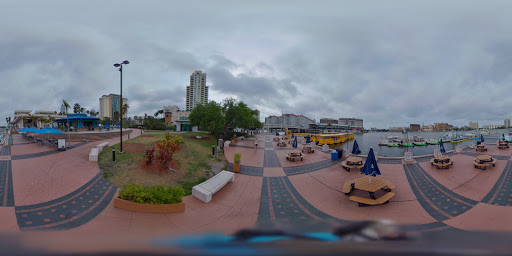 Tourist Attraction «Kraken CycleBoats», reviews and photos, 333 S Franklin St, Tampa, FL 33602, USA