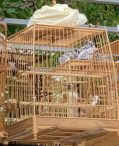 Top 20 quán cafe sân vườn Thành phố Đông Hà Quảng Trị 2022